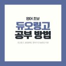 정지슈퍼 | 영어 초보 듀오링고 공부법/슈퍼 패밀리 결제 후기
