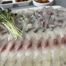한양회센타
