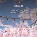 [Networking] 프리랜서 1인 사업가들의 봄피크닉 네트워킹