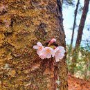 옵티마미소약국 이미지