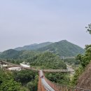 6월4일(수)포천Y자 출렁다리&amp;한탄강 가든페스타#정기도보 이미지