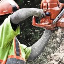 자상농장 이미지