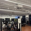 드라코짐 이미지