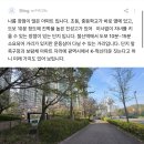 E편한세상 아파트앞 횡단보도 | 단지 내 초품아 숲세권 2,800세대 대단지 아파트 철산역 역세권 광명이편한세상센트레빌 아파트솔직 후기