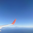 멍미뇽 | 시즈오카 (歯髄)(26.02.09~26.02.12)