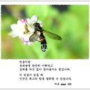 믿음 - 광진구 광나루로56길 85 | 믿음