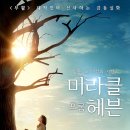 세딸목장 이미지