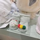 닥스키즈광양LF