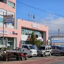 별이반점 이미지