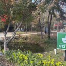 성주 | 성주 대형카페 우디1155 크리스마스 아점후기