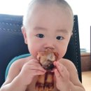 역전식육점