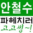 고고씽 이미지