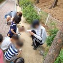 금파어린이집 이미지