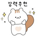 빅워시 셀프세차, 손세차 이미지