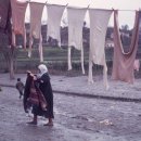 자연과사람을위한세탁 이미지