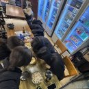 선소로 | ✔ 여수 선소대교 감성 맛집 선소맥주집 방문 후기