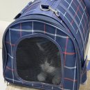 시지W동물의료센터 이미지