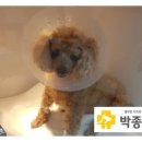 박종현동물병원 이미지