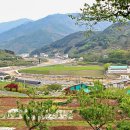 가탄교 위 이미지