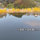 가을특집_포크 발라드_가을을 가슴에 품다_작사 박완실_가수 줄리아_작 편곡 수노_기획 프로듀서 윤기영 이미지