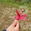 서림어린이집 이미지