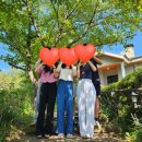 홍정명지석 이미지