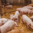 월은농장 이미지