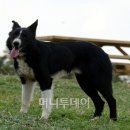 안녕하세요 이미지