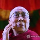 평화로운세상 이미지