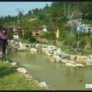 석양이 아름다운 형제섬 농원 이미지