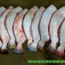 보교기획 이미지