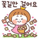 빅토리태권도 이미지