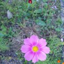 홍천산골놀이터 이미지