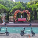 도담삼봉 자전거길 이미지