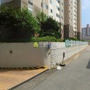 금당로69번길 Daum카페