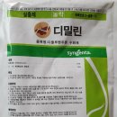 하단농약사 | 뿌리파리 박멸기_뿌리파리 살충제_디밀린 사용후기(1)