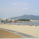 남도의 향기 이미지