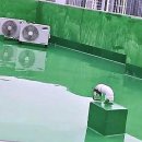 태산지하수 - 2435 | 우리 집 옥상, 더 이상 물샐 걱정은 없다! - 꼼꼼하게 알아보는 우레탄방수 이야기