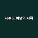 한일애견
