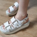 레이지인하도 이미지