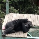 포레스트벨리캠프 이미지