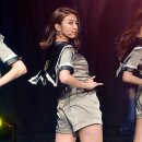 다미 TV리포트
