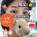 나나티크 | 창원 눈썹 반영구 나나티크 내돈내산 2달차 후기