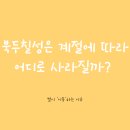 북두칠성 이미지