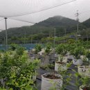 덕포농장 이미지