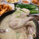 약선흑염소전주동부대로점 | 전주 삼계탕 맛집, 초복 중복 말복 보양식 맛집 5곳 내돈내산 추천