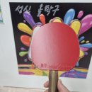 신탁구장 - 해운대구 양운로42번길 12 | 신탁구장