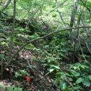 광덕농장 이미지