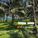 오션 스파 짐 | 나트랑 알마리조트 조식,마사지 깜란 오션스파 리얼후기