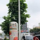 시너바슈즈마트 - 북구 | 시너바슈즈마트